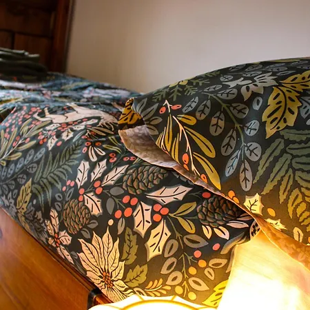 Ambata - Fronte Piste Da Sci Apartmán Auronzo di Cadore